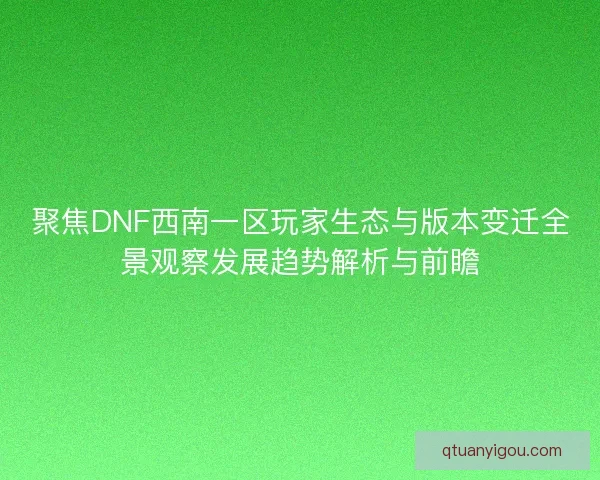 聚焦DNF西南一区玩家生态与版本变迁全景观察发展趋势解析与前瞻